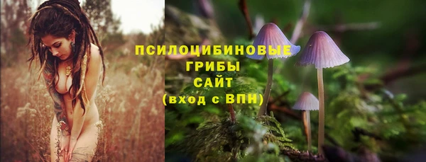 кокс Арсеньев