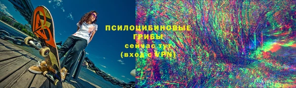 кокс Арсеньев