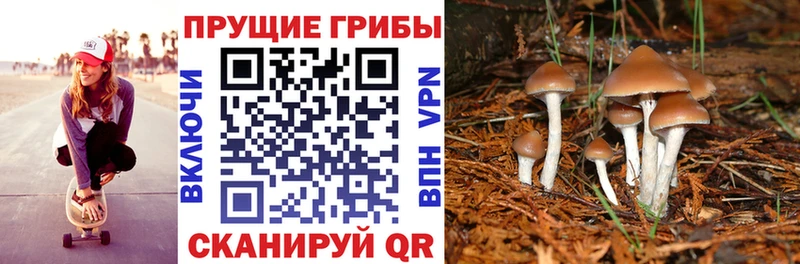 Псилоцибиновые грибы мухоморы  Полярные Зори 